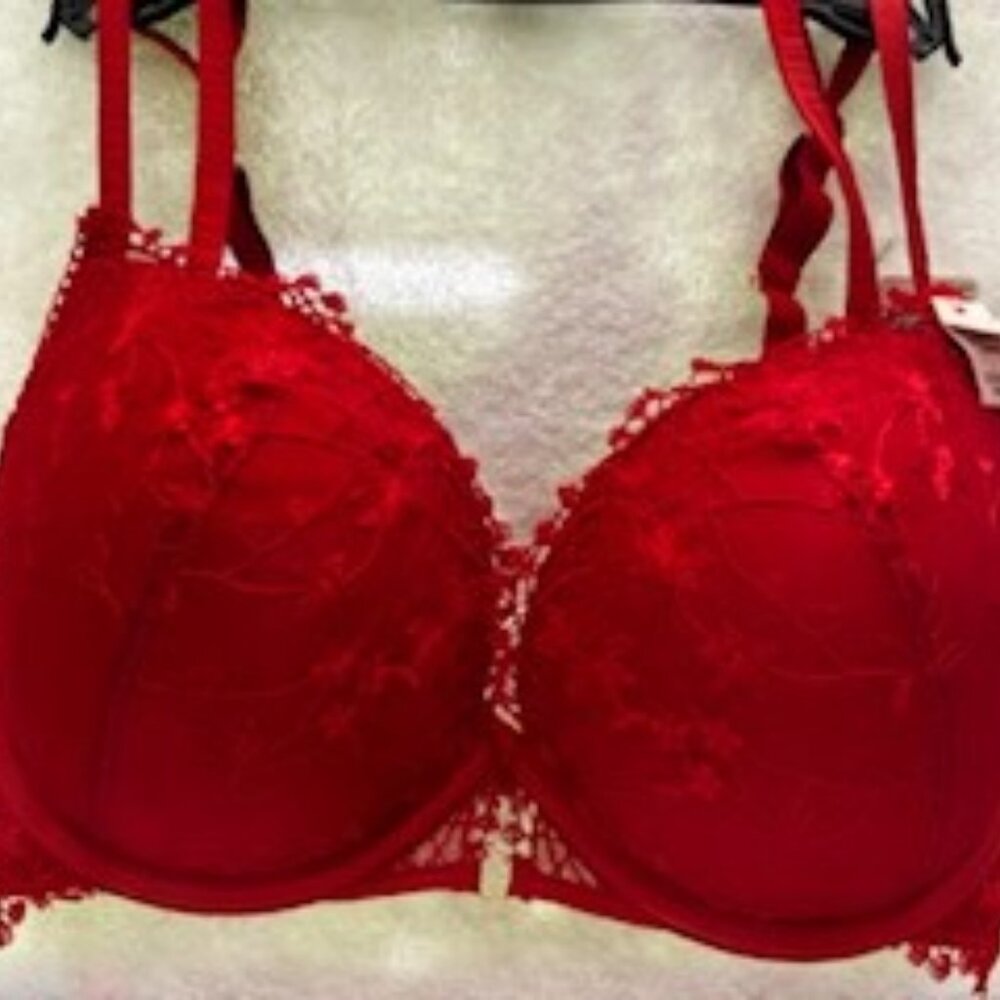 Etam Lumineuse red underwire bra NWT Size 32DD